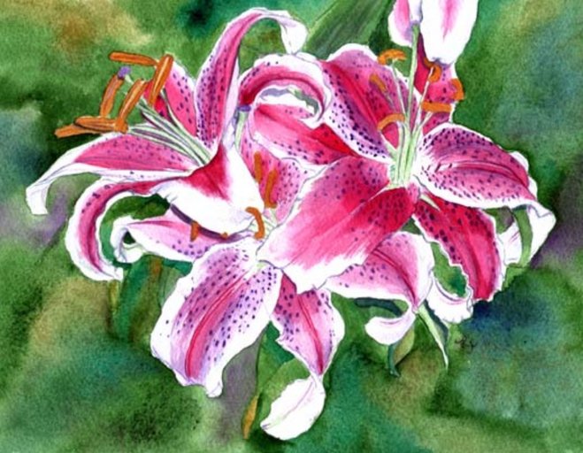 Stargazer Lilies (modifiable)