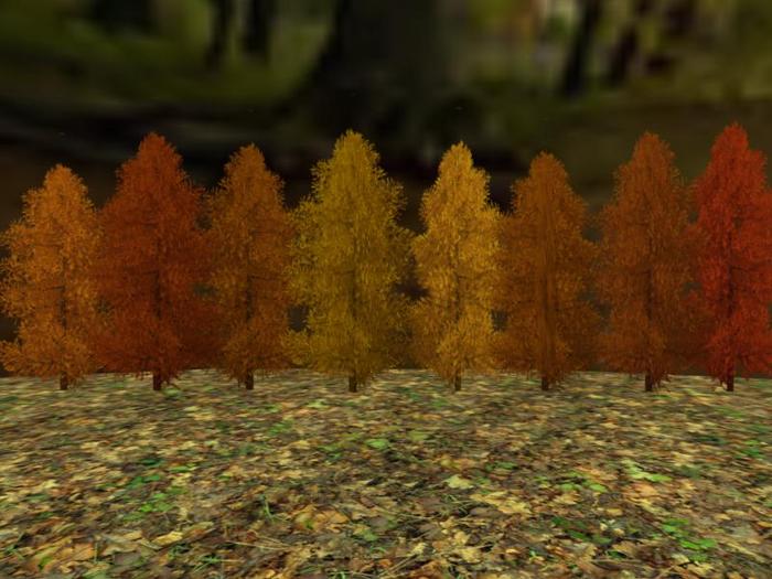 Autumn Tree Screen: Red and Golds (One of our many Autumn and Fall entries for plants, trees, shrubs and gardens)