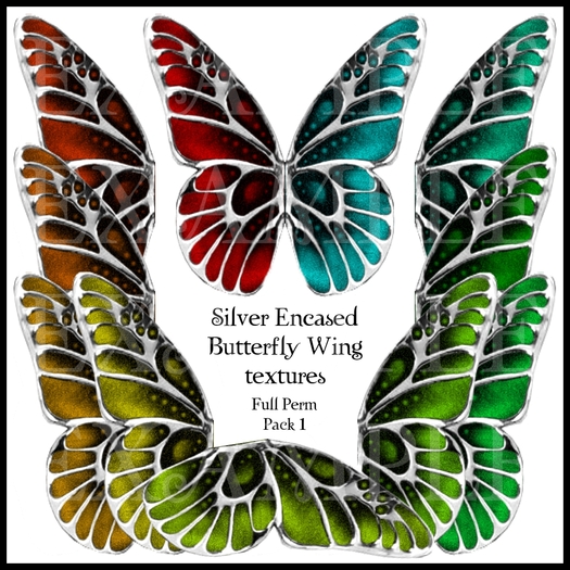 Eternal Creativity ~ Silver Encased Butterfly Wing textures P1