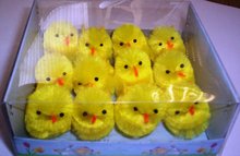 MW Chicks Peeps  full perms sound