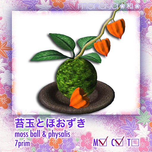 [monaya*wa*] moss ball & physalis