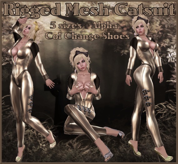 Catsuit Box ga