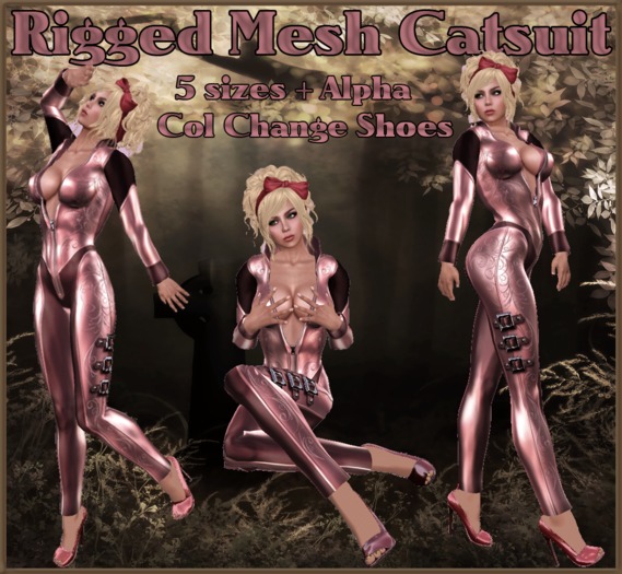 Catsuit Box gl2