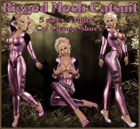 Catsuit Box gk2