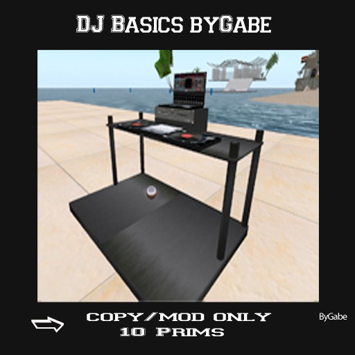DJ Basics byGabe