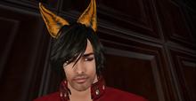 MW Neko ears lion transfer