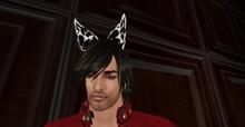 MW Neko ears snow leopard