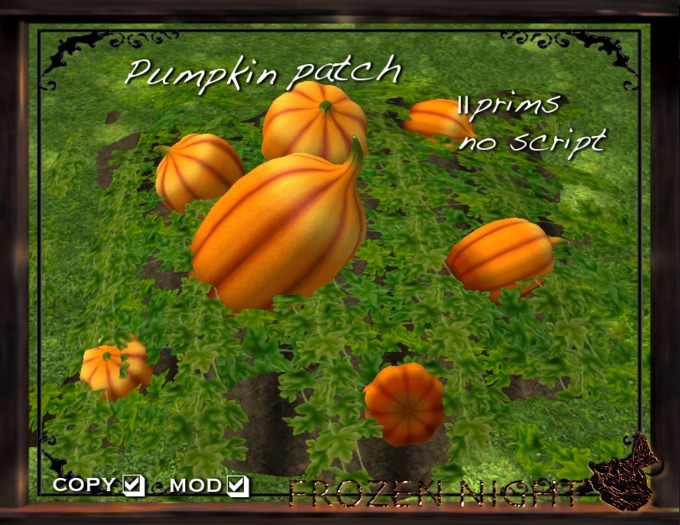FN*pumpkin patch