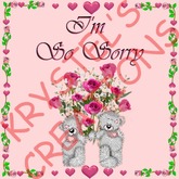 SS63 I'm So Sorry (Wear Me)