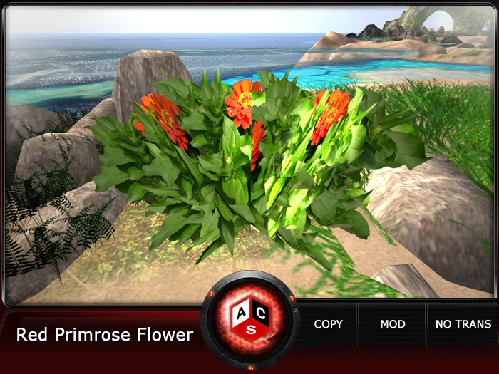 ACS Red Primrose Flower