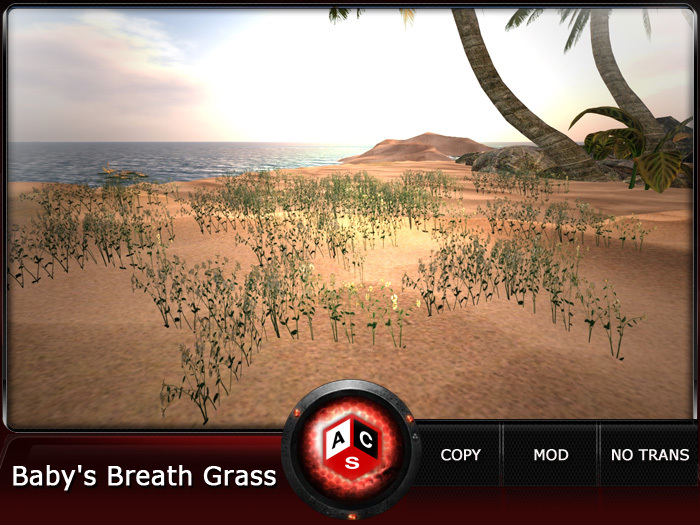 ACS Baby's Breath Grass