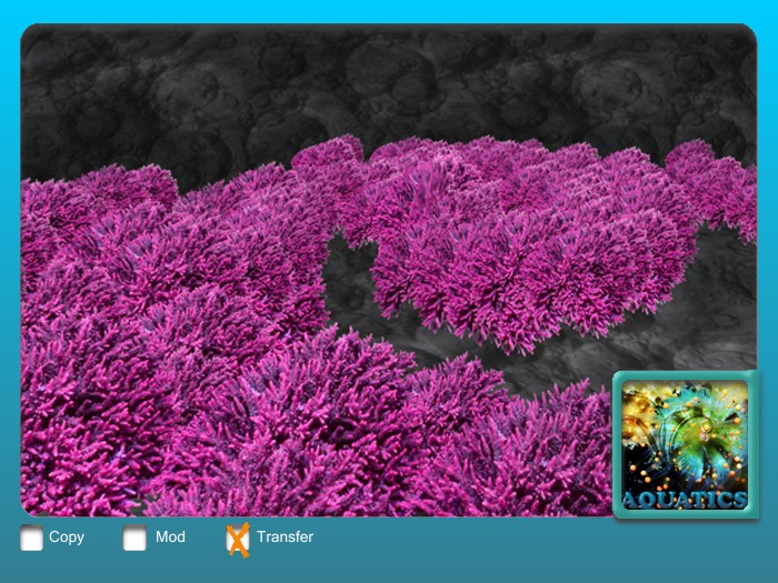 Emitter Corals Pure Pink 1prim