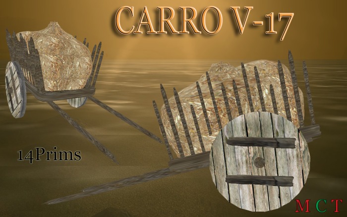 CARRO V17