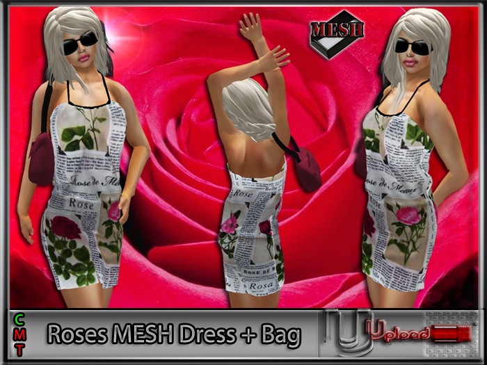Upload[_]:: - Roses MESH Dress + Bag