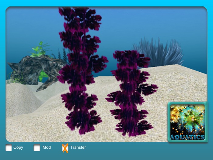 Aquatic Plant Ulva Purple 2 Pack 