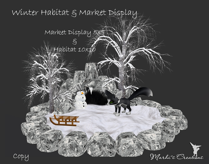 NEW! Winter Habitat & Market Display