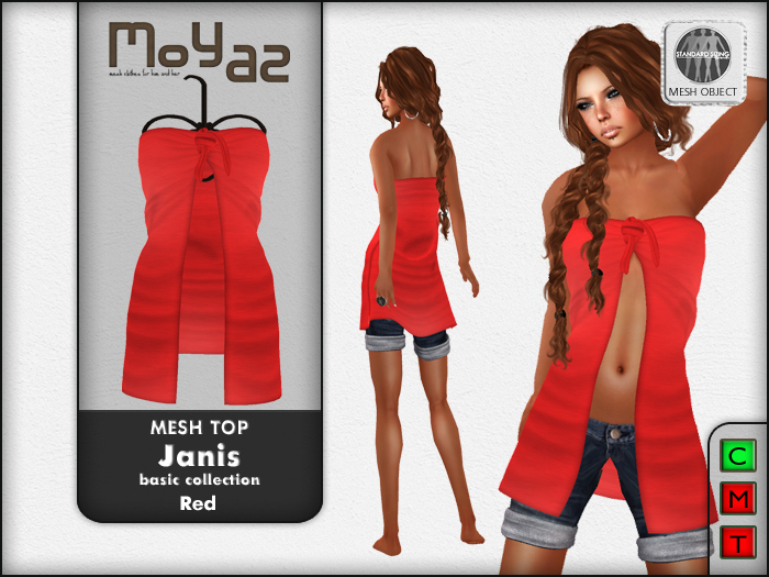 Janis Mesh Top Red