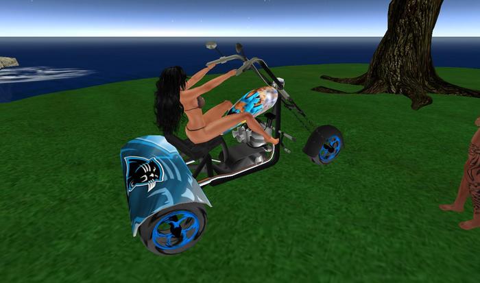 Carolina Panthers Trike