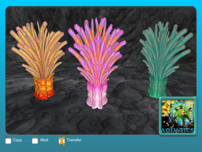 Anemones Set 3 Dreads 