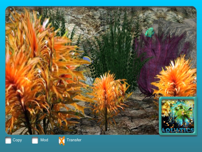 Set Orange Flower MO
