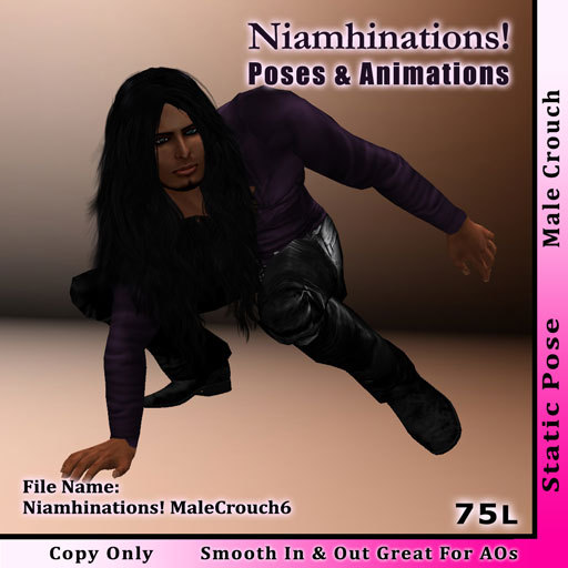 Niamhinations! Male Crouch Pose - MaleCrouch6 - Copy Only