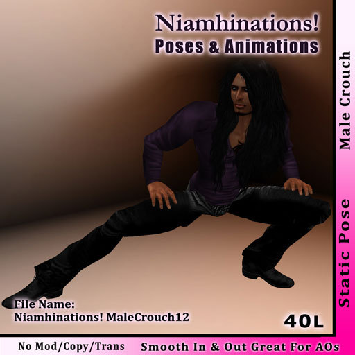 Niamhinations! Male Crouch Pose - MaleCrouch12 - No Perm 