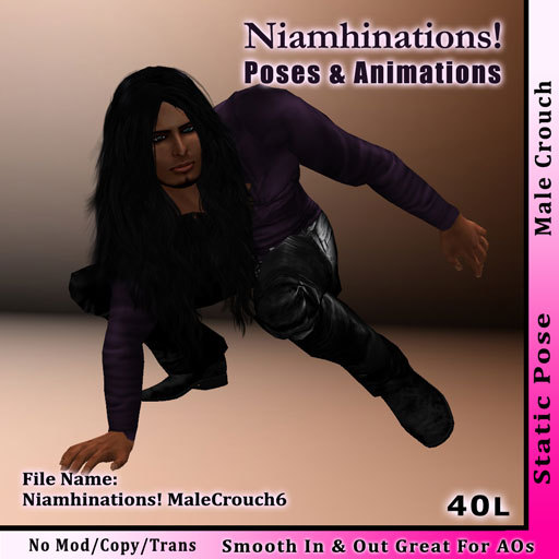 Niamhinations! Male Crouch Pose - MaleCrouch6 - No Perm 