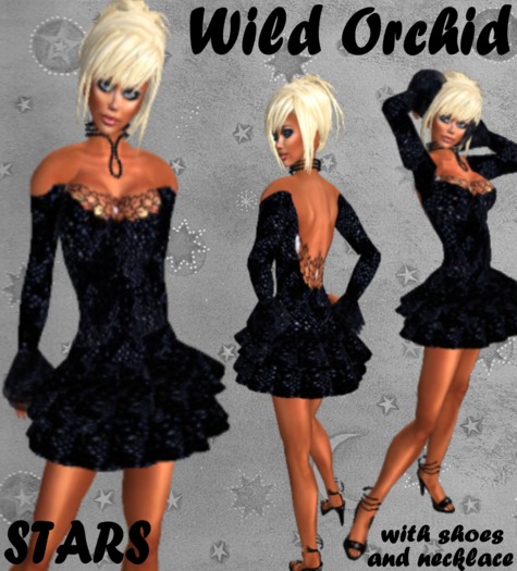 STARS - Wild Orchid*