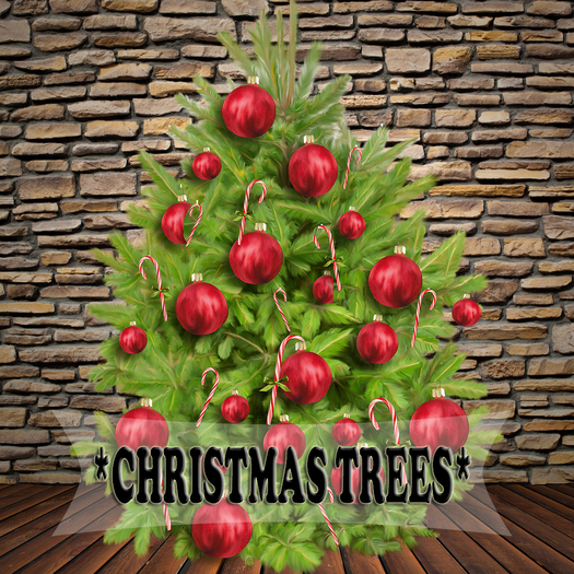 Christmas trees 37