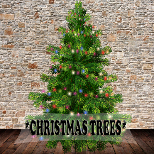 Christmas trees 42