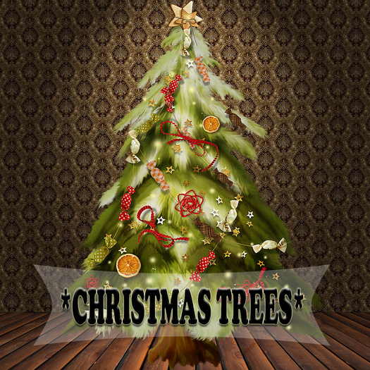 Christmas trees 45