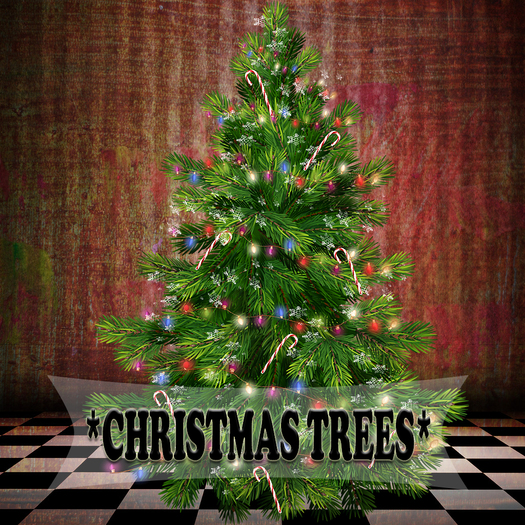 Christmas trees 50