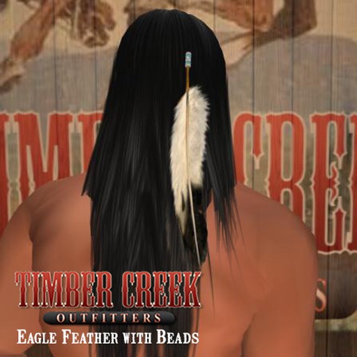 [Timber Creek] Single Eagle Feather with Beads