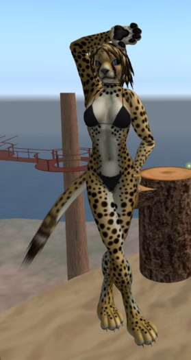 Ivy's DSD Cheetah SHAPE ONLY