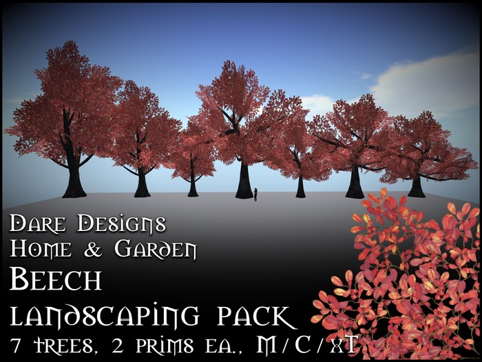 DD Home & Garden - beech 