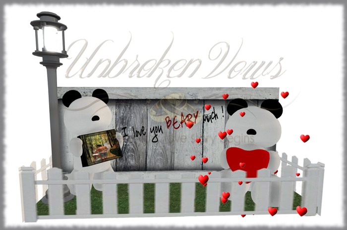 Bear Invitation( Boxed )