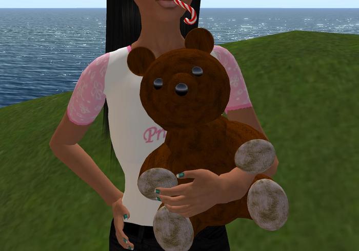 teddy bear.