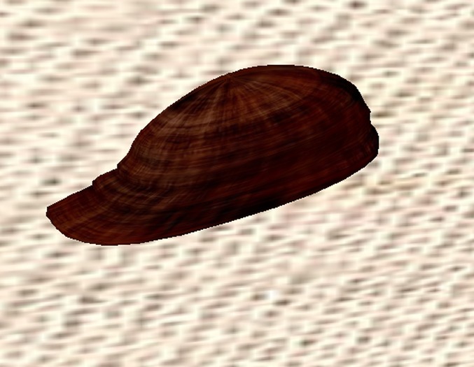 Immigrant Hat Brown