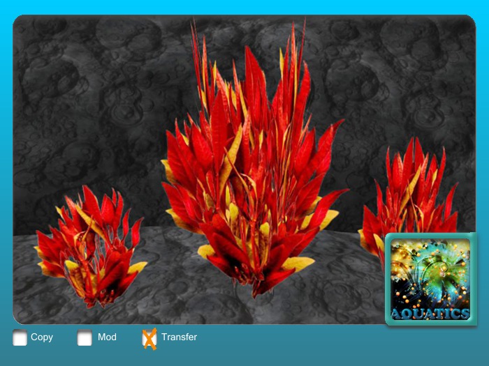 Red Yellow Set 3 plants MO