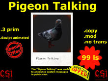 Pigeon Talking (box)