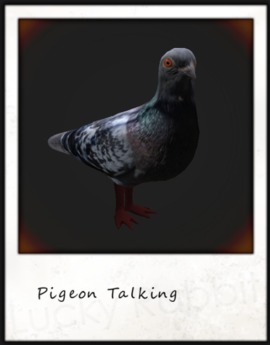Second Life Marketplace - Pigeon Talking (box)