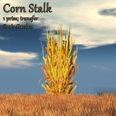 *ZG* Dried Corn Stalk