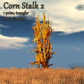 *ZG* Dried Corn Stalk 2