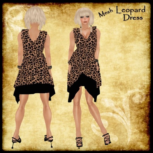 Leopard Dress Mesh Bangles & Heels 