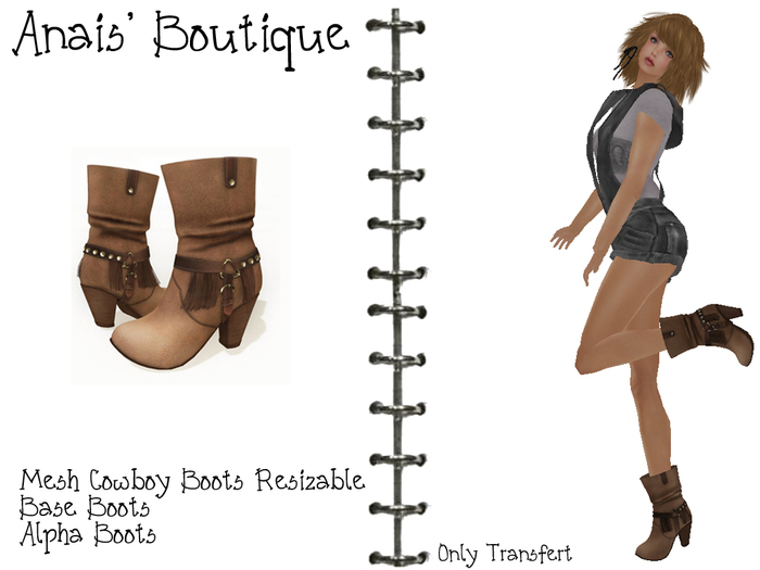 Anais' Mesh Cowboy Boots Brown