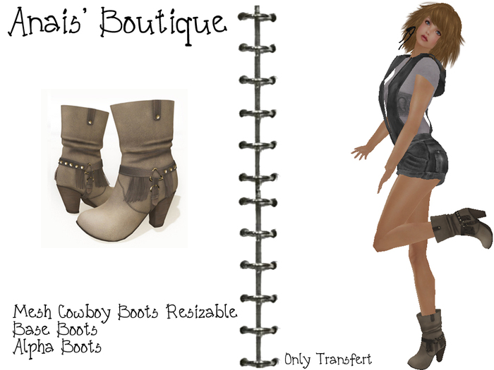Anais' Mesh Cowboy Boots Mole