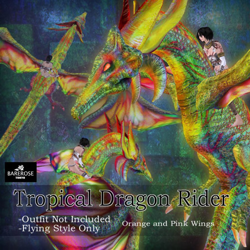 ::: B@R ::: Tropical Dragon Rider