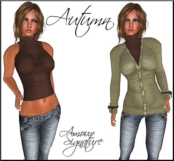 Amour Signature - Autumn Outfit - Ash