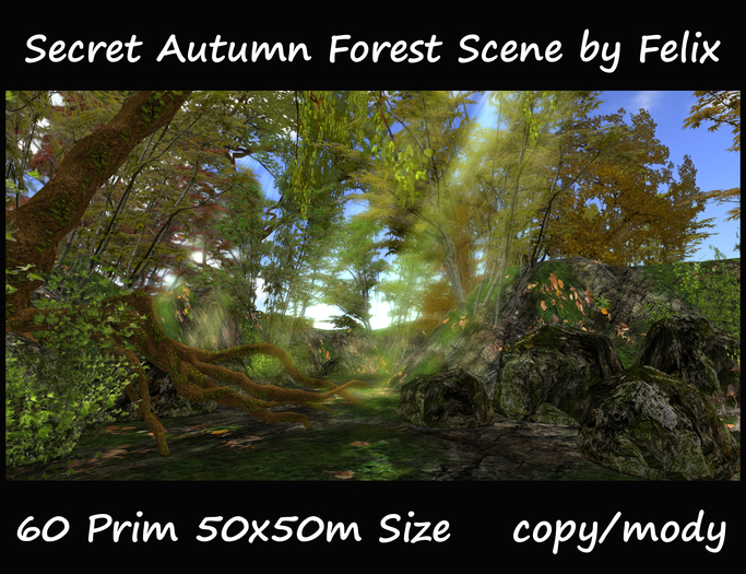 Secret Autumn Forest Scene by Felix