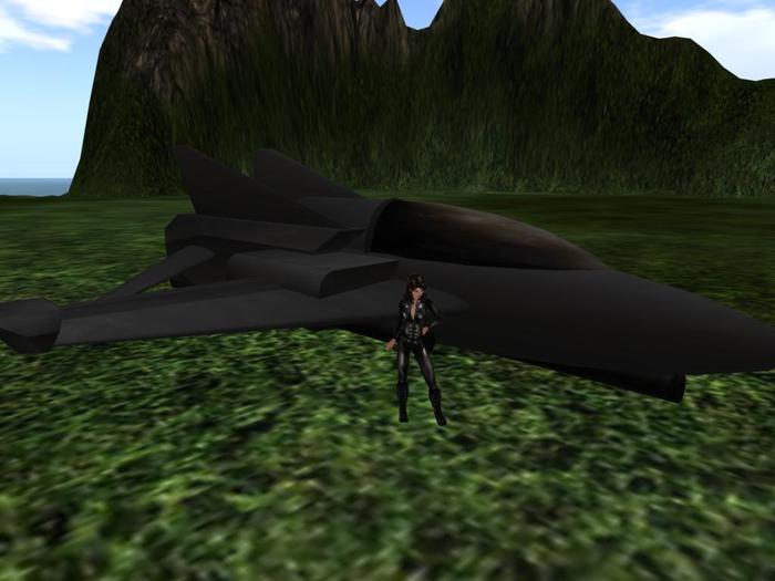 Petite Jet Fighter Aircraft